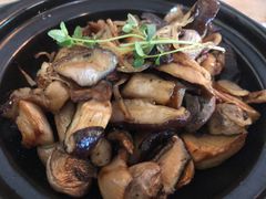-普兰达德国餐厅·德式脆皮烤猪肘·自酿啤酒(观唐店)