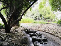 -成都市活水公园