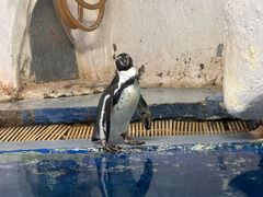 -太平洋海底世界