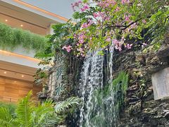 -广州白天鹅宾馆