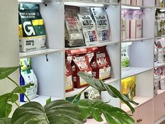 -青奢宠物·青奢猫舍