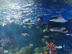 -华夏文旅海洋公园