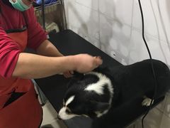 -酷狗靓猫宠物·洗护·美容·寄养(航北路店)