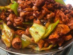 -大鹅岛绿色生态美食园
