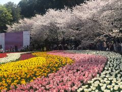 -苏州上方山国家森林公园