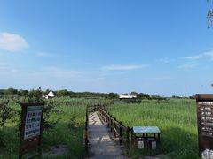 -西青郊野公园