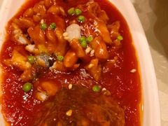 松鼠桂鱼-金八仙酒店