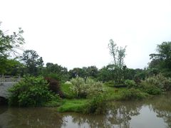 -张坝桂圆林公园