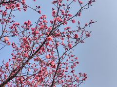 -白鹭湾湿地公园