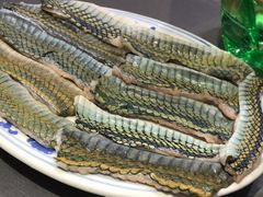 -金龙·打边炉(武进路店)