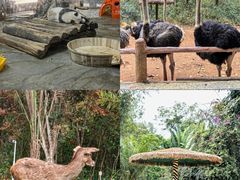 -海南热带野生动植物园