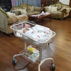 -致友月子会所(麓湖店)