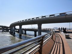 -演武大桥观景平台