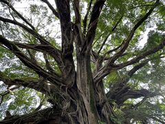 -云水谣景区