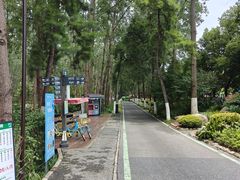 -合肥滨湖国家森林公园