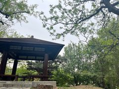 -万泉公园