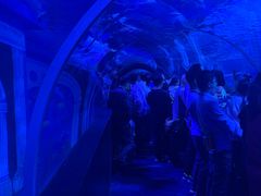 -成都浩海立方海洋公园