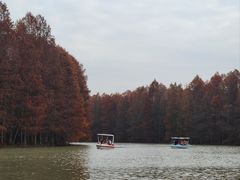 -上海海湾国家森林公园