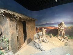 -岳阳市博物馆