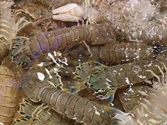 -老虎滩船说·海胆水饺·大连海鲜(老虎滩店)