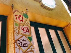 -榴梿乐园