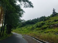 -东白山