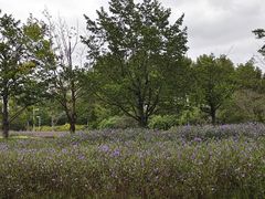 -白塘生态植物园