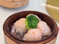 -老洋坊饭店(厚街东宝路店)