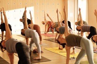 -酉嘉瑜伽YO+YOGA