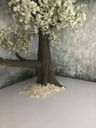 点击看大图 -玛瑞莎·儿童·亲子摄影(越秀店)
