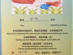 -美联众合动物医院·24h转诊中心