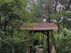 -梦姑塘文化公园