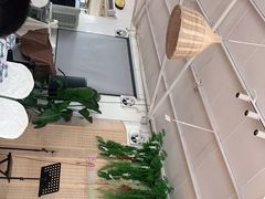 -芭厘农庄老字号·清远鸡