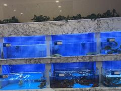 -香山湖渔家大院