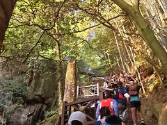 -莫干山风景区