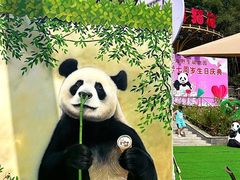 -栾川竹海野生动物园