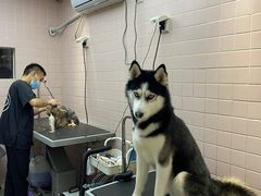 -FAELING PETS美天灵宠物(富力广场店)