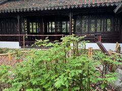 -上海醉白池公园