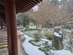 -西安青龙寺遗址景区