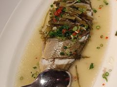 -老洋房花园饭店(绍兴路店)