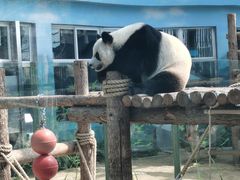 -大连森林动物园