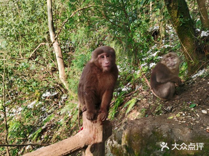 九峰山图片