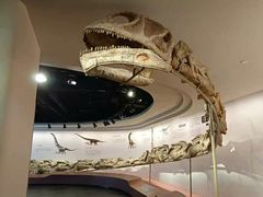 -自贡恐龙博物馆
