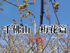 -千佛山风景名胜区