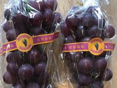 -马陆小张葡萄园农家乐