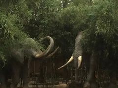 -揭东万竹园旅游景区