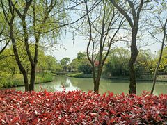 -梁鸿国家湿地公园