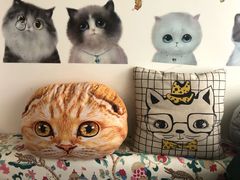 -我爱猫咪·猫咖·狗咖·安哥拉兔·羊驼咖(小寨华旗店)