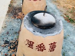 -将军陂美食山庄·瓦缸炭烧鸡