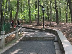 -灵岩山风景区